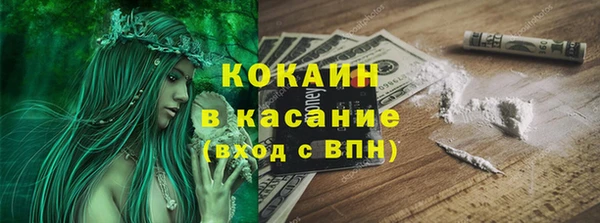 гидра Горно-Алтайск
